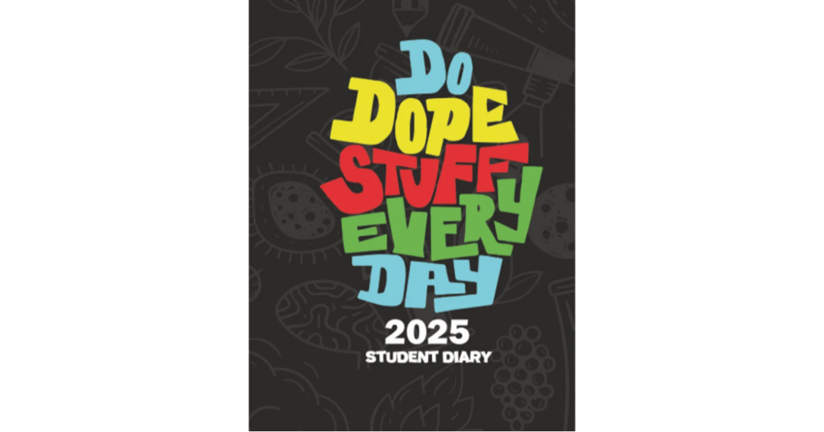 Diary 2025 A5 2 Days-A-Page Amazing (SAD10)