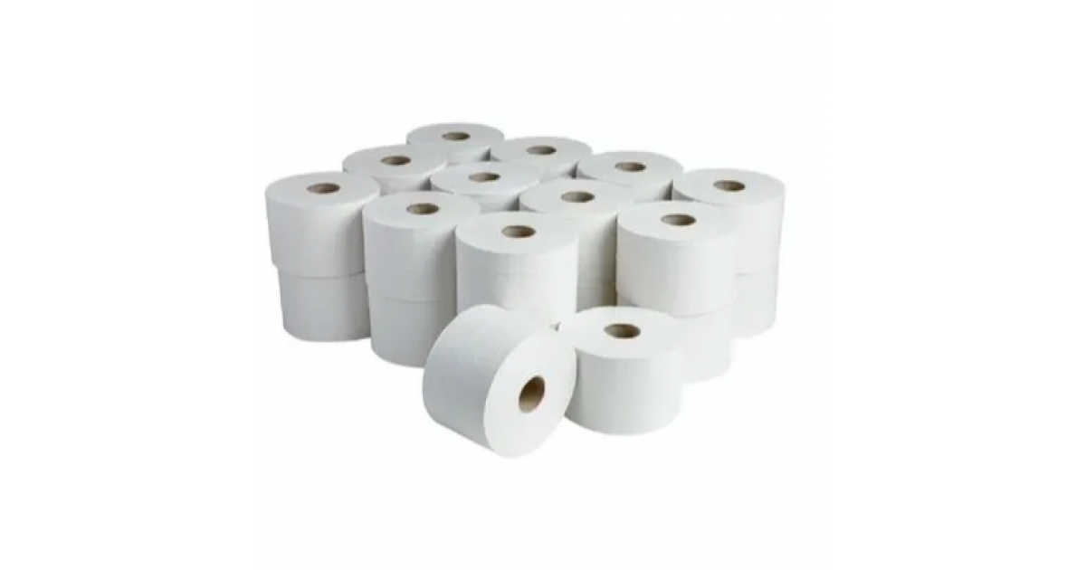 Namsoft Toilet Paper Unwrapped Econo 1Ply 500 Sheets Pk10