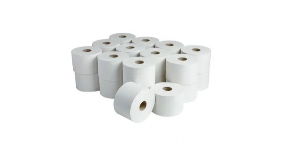 Namsoft Toilet Paper Unwrapped Econo 1Ply 500 Sheets Pk10